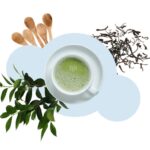 Macha cafè un modello di azienda pensato per la gen-z