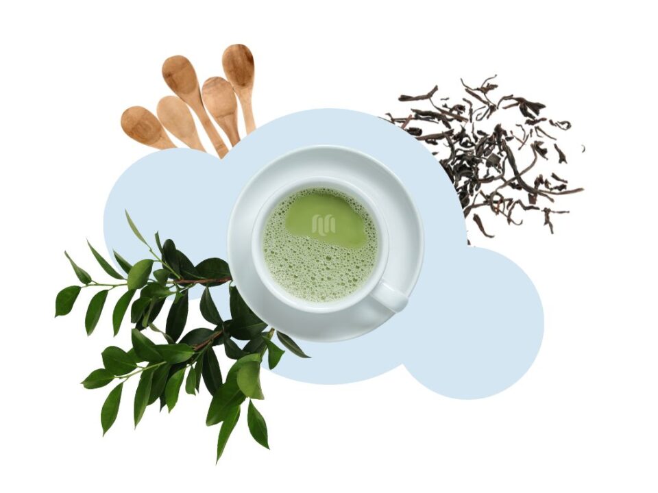 Macha cafè un modello di azienda pensato per la gen-z