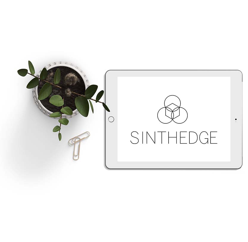Sinthedge, interaction field made in Mudra